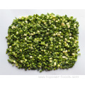 quality orgainc air dried green chive rings